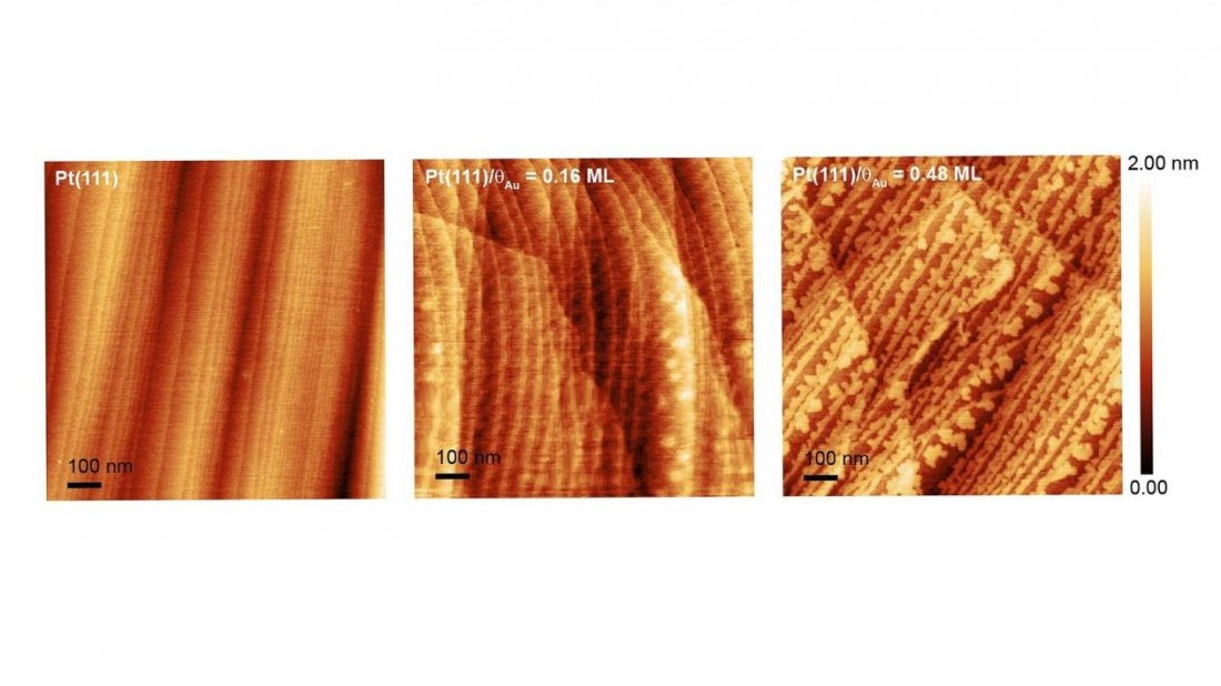Atomic force microscopy images showing varied coverage of a gold layer (the lighter shade) over the edges of a platinum surface. The gold layer mitigates platinum dissolution during fuel cell operations. Credit: Argonne National Laboratory