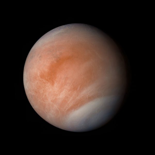Planet Venus (stock image; elements furnished by NASA).Credit:  Igor_Filonenko / stock.adobe.com